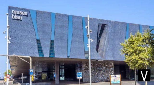 El Museu Blau